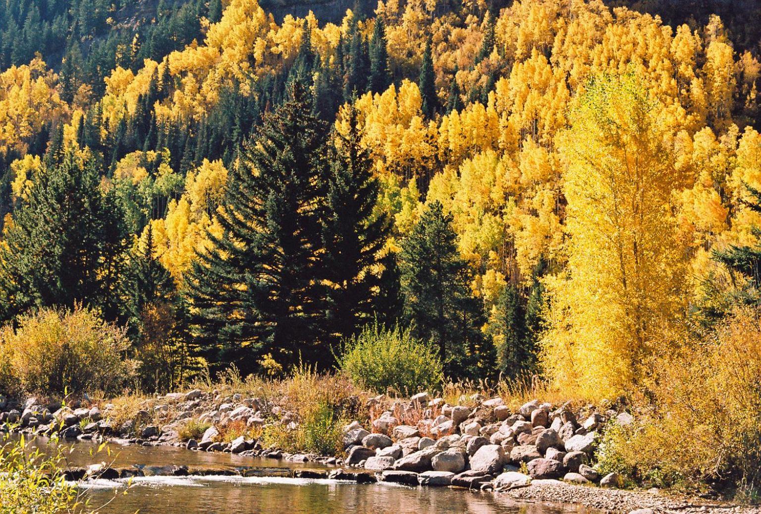 Vail Racquet Club Mountain Resort Екстериор снимка